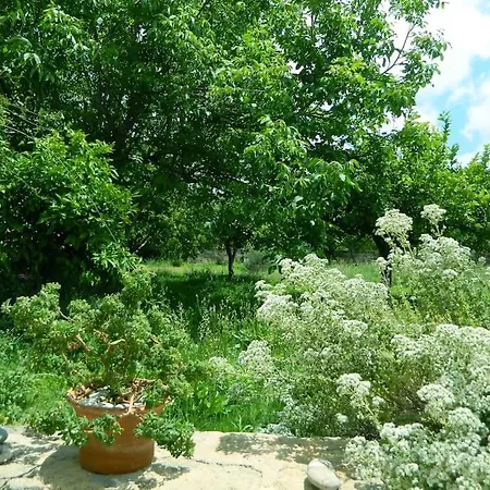 Ancient Retreat With 2-Storey Tower Gym Garden *