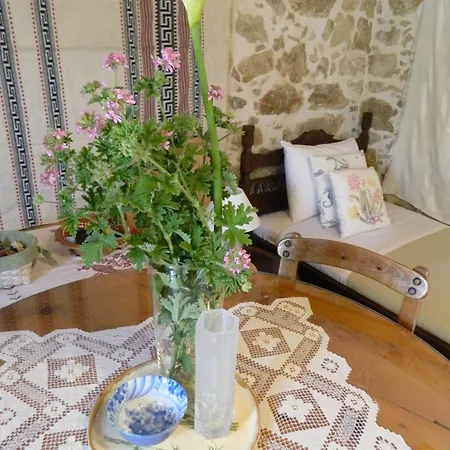Ancient Retreat With 2-Storey Tower Gym Garden