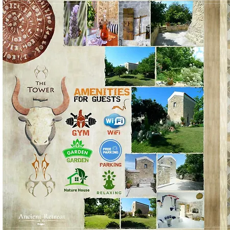 Ancient Retreat With 2-Storey Tower Gym Garden