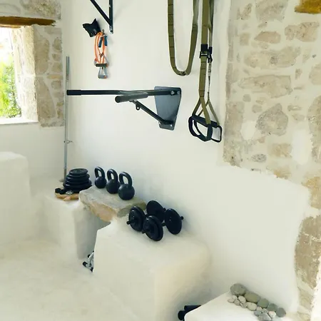 Ancient Retreat With 2-Storey Tower Gym Garden Villa Faneromeni (Crete)